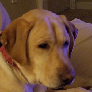 Meet your Posher, Tina